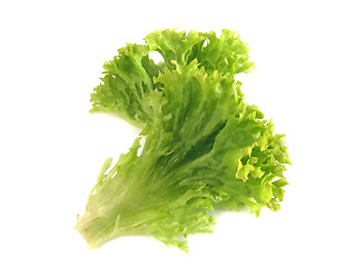 Image showing Green salad