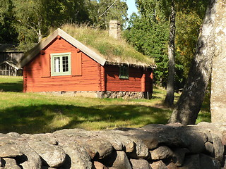 Image showing Cottage in the forest