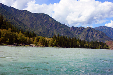 Image showing Big and tempestuous river in mountain Altaya