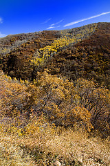 Image showing Countryside in the Mountains