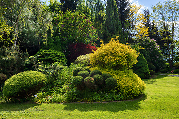 Image showing Beautiful summer garden concept