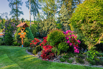 Image showing Beautiful summer garden concept