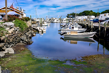 Image showing Small boats lining waterfront in Wickford Cove