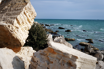 Image showing Cliffs by the sea.
