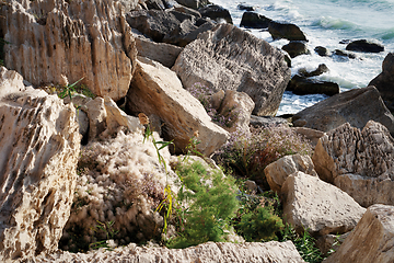 Image showing Autumn coast of the Caspian Sea.