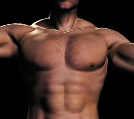 Image showing man torso