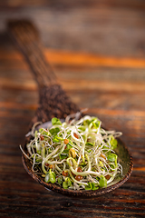 Image showing Heap of fresh sprouts