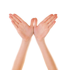 Image showing Hands, bird and mockup with a person in studio isolated on a white background for branding or a logo. Social media, abstract and creative with a woman on blank space making a hand sign or gesture