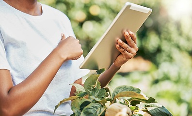 Image showing Black woman, hands and tablet in agriculture research for eco friendly or sustainability at farm. Hand of African American female holding touchscreen for growth or sustainable countryside farming