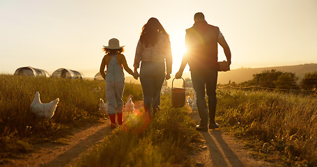 Image showing Mother, father or child bonding on chicken farm, poultry agriculture field or Brazilian sustainability environment. Smile, happy and farmer family with birds for meat, food or eggs industry at sunset