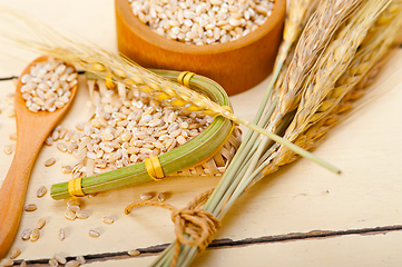 Image showing organic barley grains