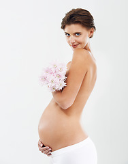 Image showing Pregnancy, photo shoot and portrait of a woman with flowers on a white background in studio. Smile, stomach and pregnant woman with a bouquet of Deutzia for love of a child on a studio background