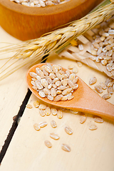 Image showing organic wheat grains