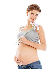 Image showing Flowers, pregnant woman and studio portrait for pregnancy skincare, cellulite and beauty cosmetics. Healthcare, wellness and mother hand on stomach with floral or natural product advertising