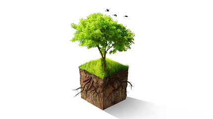 Image showing Tree, graphic and green sustainability for eco friendly, nature or care for earth environment. Trees, climate change or sustainable development of planet, recycle or soil by isolated white background