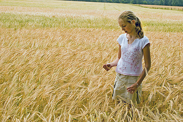 Image showing WHEAT FIELD 14