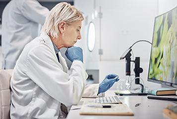 Image showing Science, research and sample in lab with a doctor woman working on scientific analysis. Experiment, slide and a female scientist in laboratory with data, vision and future in medical innovation