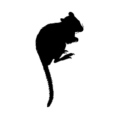 Image showing Kangaroo Rat Silhouette