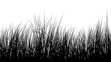 Image showing Seamless Meadow Grass