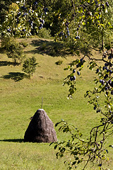 Image showing traditional haystack rural scene