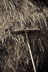 Image showing traditional haystack rural scene