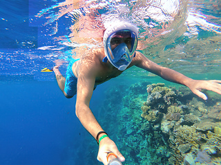 Image showing Snorkel swim in shallow water with coral fish, Red Sea, Egypt