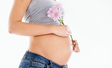 Image showing Flower, pregnant and woman in studio for health, wellness and gentle skincare on white background. Daisy, plant and pregnant woman hand on belly for care, beauty and product in nature on mockup