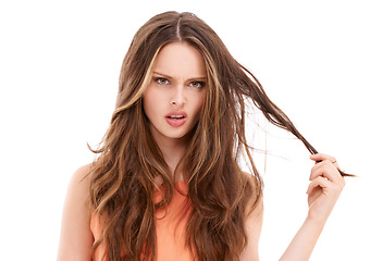 Image showing Woman portrait, stress or angry with messy hairstyle on isolated white background for split ends, keratin treatment or grooming. Confused beauty model, brunette or problem hair in hair loss marketing