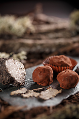 Image showing Balls of truffles