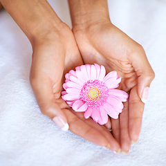 Image showing Beauty, flower and spa with hands of woman for skincare, wellness and natural cosmetics. Spring, peace and floral with girl holding fresh daisy in salon for treatment, blossom and self care