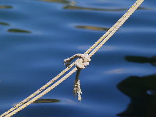 Image showing rope