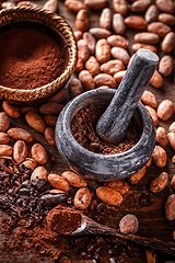 Image showing Whole cocoa beans