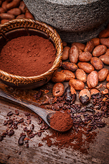 Image showing Cacao beans and cocoa powde