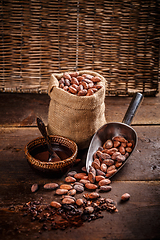 Image showing Organic cacao beans