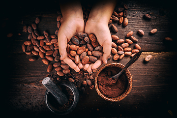 Image showing Hand holding cocoa beans