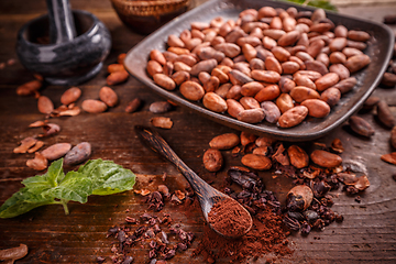 Image showing Organic cacao beans