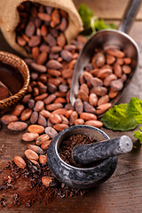 Image showing Cocoa beans