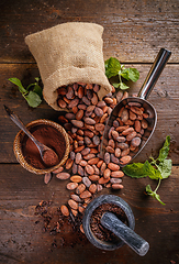 Image showing Top view of cocoa beans