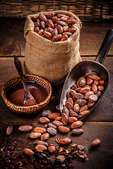 Image showing Organic cocoa beans