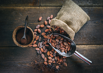 Image showing Organic cocoa powder