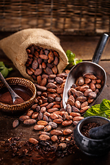 Image showing Still life of cocoa beans