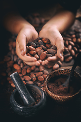 Image showing Aromatic cocoa beans