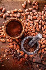 Image showing Top view of cocoa beans