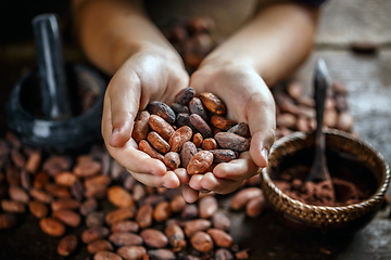 Image showing Aromatic cocoa beans