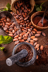 Image showing Roasted cocoa beans