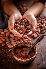 Image showing Roasted cocoa beans