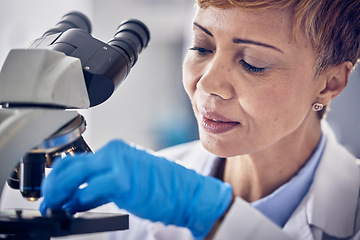 Image showing Science, laboratory and black woman with microscope, research for vaccine development. Healthcare, medical innovation and senior scientist woman in hospital lab looking at pharmaceutical test results