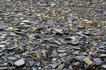 Image showing Beach pebbles