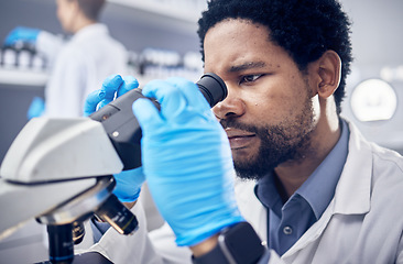 Image showing Black man, scientist and microscope with science research in laboratory, data analysis and expert with scientific or medical innovation. Phd doctor, face and biotechnology, chemistry and study in lab