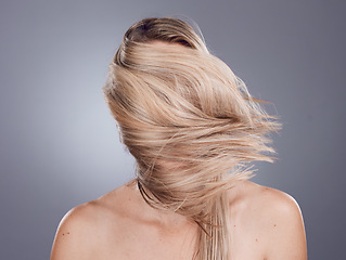 Image showing Hair care, back view and blonde woman with long healthy hair from a keratin, brazilian or botox treatment. Beauty, cosmetic and girl model with a shiny and glossy hair style by gray studio background